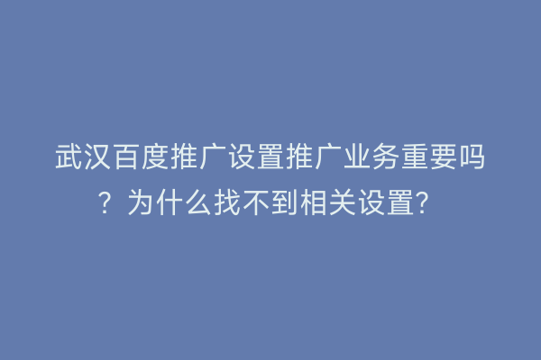 武汉百度推广设置推广业务重要吗？为什么找不到相关设置？