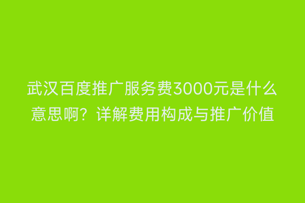 武汉百度推广服务费3000元是什么意思啊？详解费用构成与推广价值