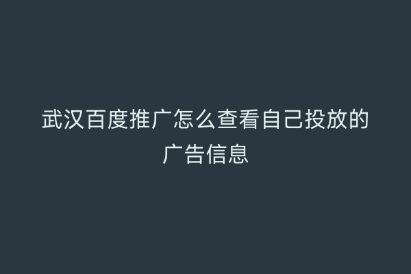 武汉百度推广怎么查看自己投放的广告信息
