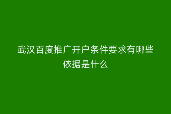 武汉百度推广开户条件要求有哪些依据是什么