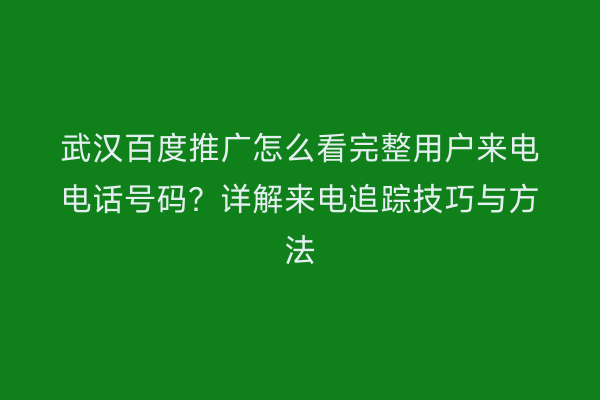武汉百度推广怎么看完整用户来电电话号码？详解来电追踪技巧与方法