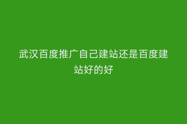 武汉百度推广自己建站还是百度建站好的好
