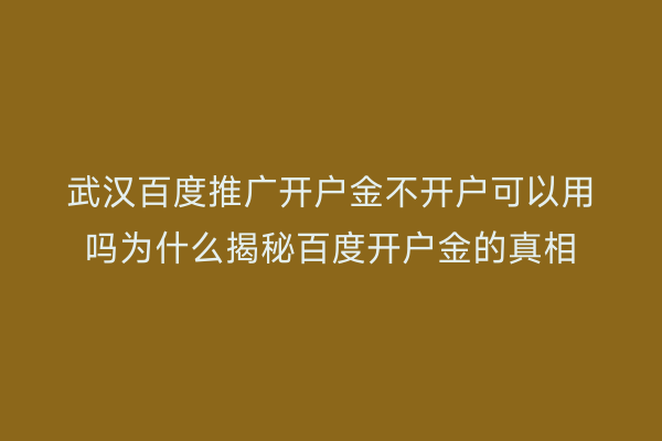 武汉百度推广开户金不开户可以用吗为什么揭秘百度开户金的真相