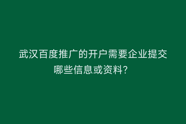 武汉百度推广的开户需要企业提交哪些信息或资料？