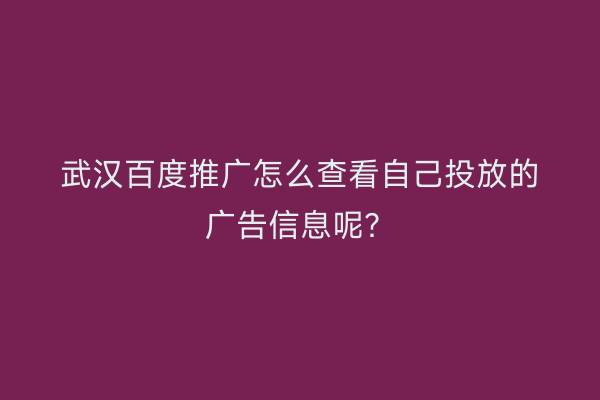 武汉百度推广怎么查看自己投放的广告信息呢？