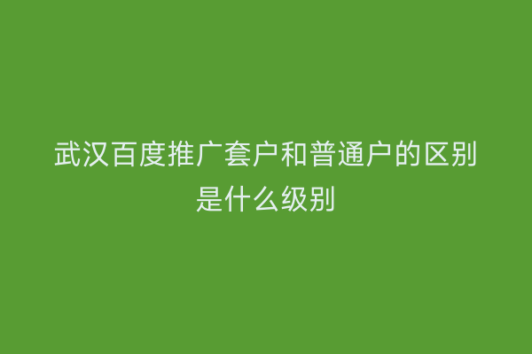 武汉百度推广套户和普通户的区别是什么级别