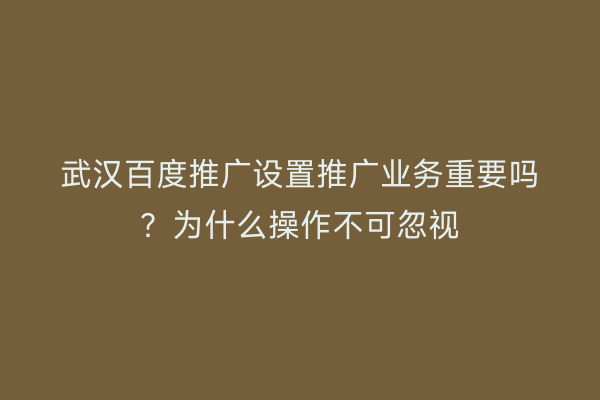 武汉百度推广设置推广业务重要吗？为什么操作不可忽视