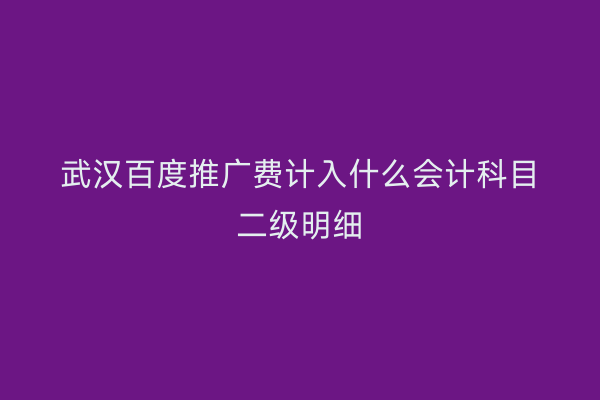 武汉百度推广费计入什么会计科目二级明细