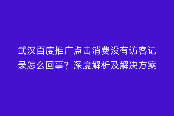 武汉百度推广点击消费没有访客记录怎么回事？深度解析及解决方案