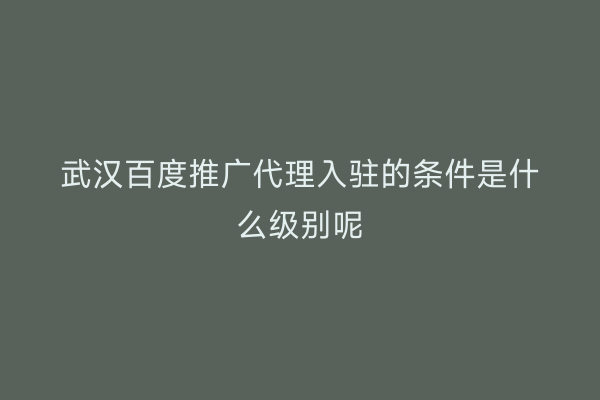武汉百度推广代理入驻的条件是什么级别呢