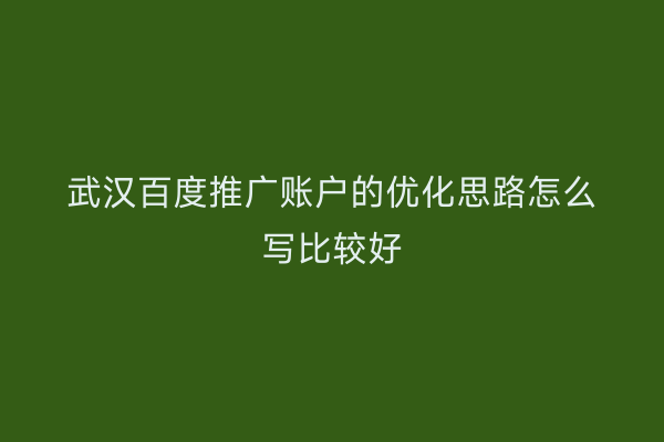 武汉百度推广账户的优化思路怎么写比较好