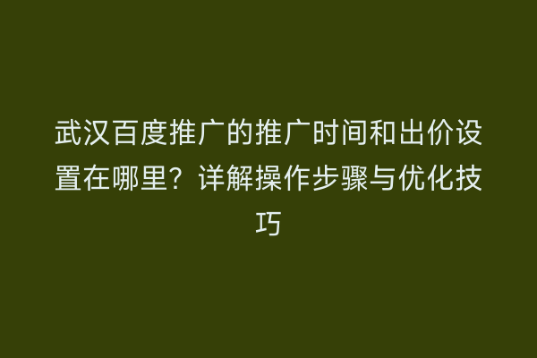武汉百度推广的推广时间和出价设置在哪里？详解操作步骤与优化技巧