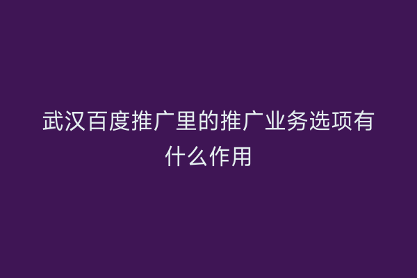 武汉百度推广里的推广业务选项有什么作用