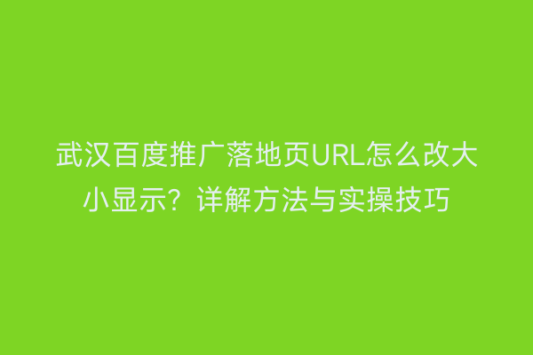 武汉百度推广落地页URL怎么改大小显示？详解方法与实操技巧