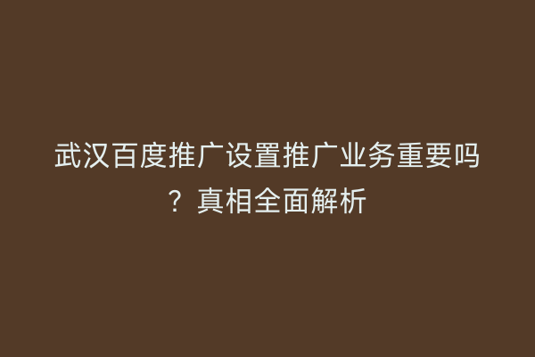 武汉百度推广设置推广业务重要吗？真相全面解析