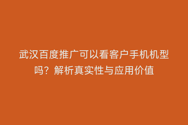 武汉百度推广可以看客户手机机型吗？解析真实性与应用价值