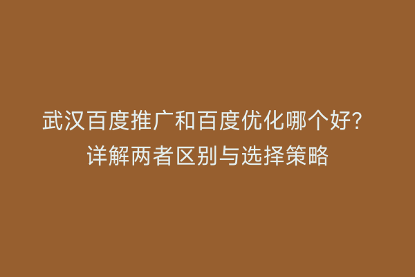 武汉百度推广和百度优化哪个好？详解两者区别与选择策略