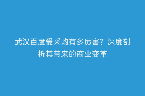 武汉百度爱采购有多厉害？深度剖析其带来的商业变革