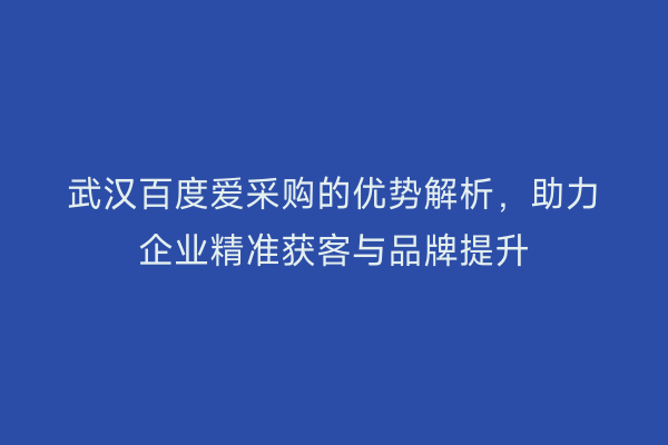 武汉百度爱采购的优势解析，助力企业精准获客与品牌提升