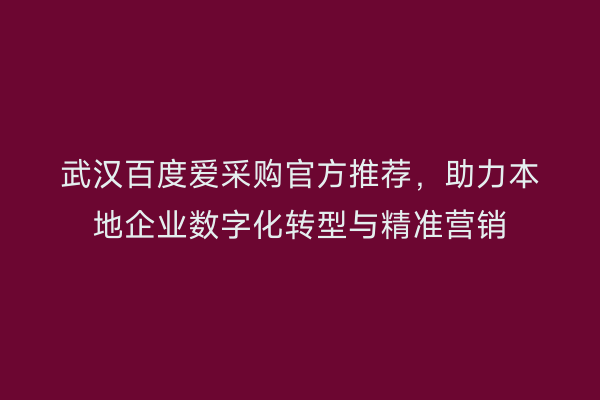 武汉百度爱采购官方推荐，助力本地企业数字化转型与精准营销