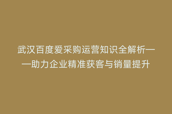 武汉百度爱采购运营知识全解析——助力企业精准获客与销量提升