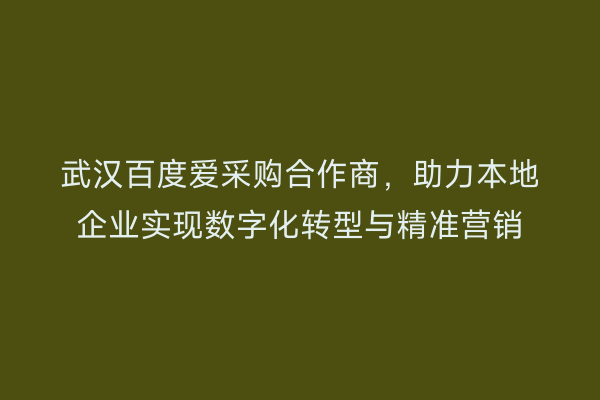 武汉百度爱采购合作商，助力本地企业实现数字化转型与精准营销