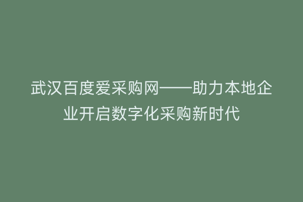 武汉百度爱采购网——助力本地企业开启数字化采购新时代