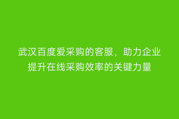 武汉百度爱采购的客服，助力企业提升在线采购效率的关键力量