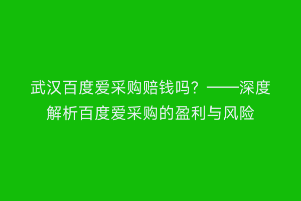 武汉百度爱采购赔钱吗？——深度解析百度爱采购的盈利与风险