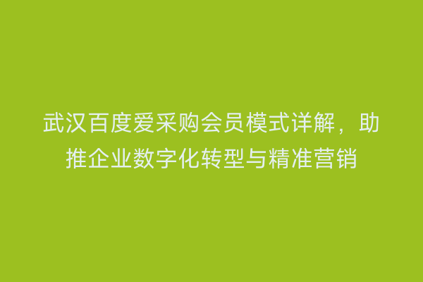 武汉百度爱采购会员模式详解，助推企业数字化转型与精准营销
