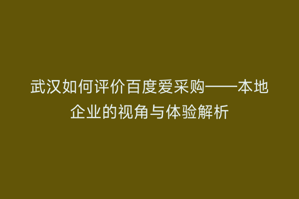 武汉如何评价百度爱采购——本地企业的视角与体验解析