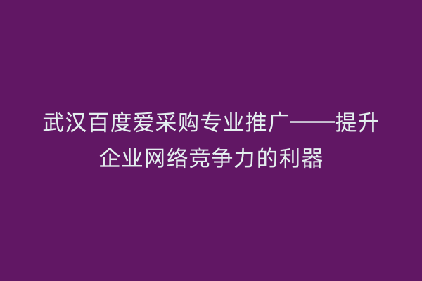 武汉百度爱采购专业推广——提升企业网络竞争力的利器