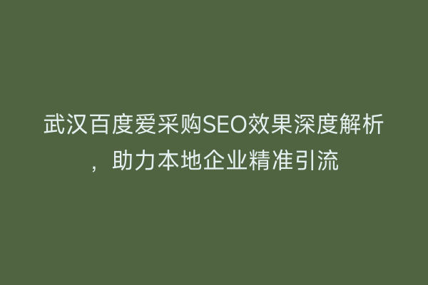 武汉百度爱采购SEO效果深度解析，助力本地企业精准引流