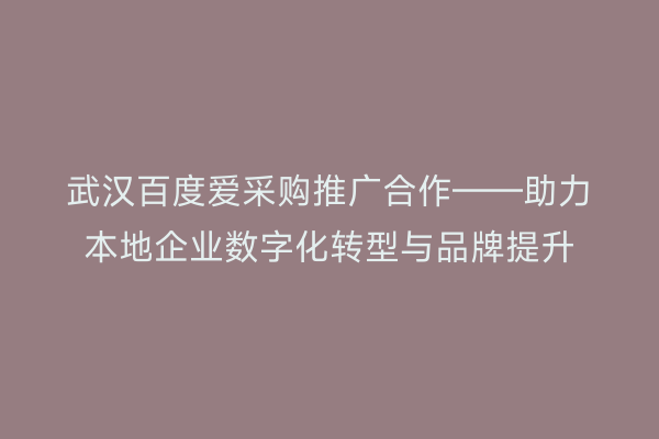 武汉百度爱采购推广合作——助力本地企业数字化转型与品牌提升