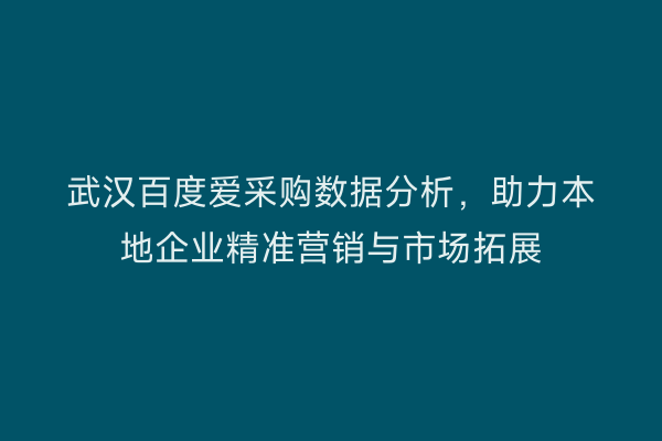 武汉百度爱采购数据分析，助力本地企业精准营销与市场拓展