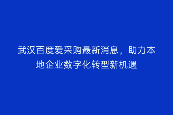 武汉百度爱采购最新消息，助力本地企业数字化转型新机遇