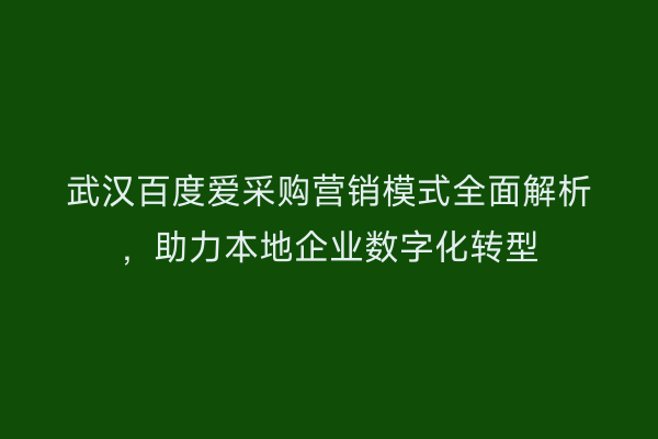 武汉百度爱采购营销模式全面解析，助力本地企业数字化转型