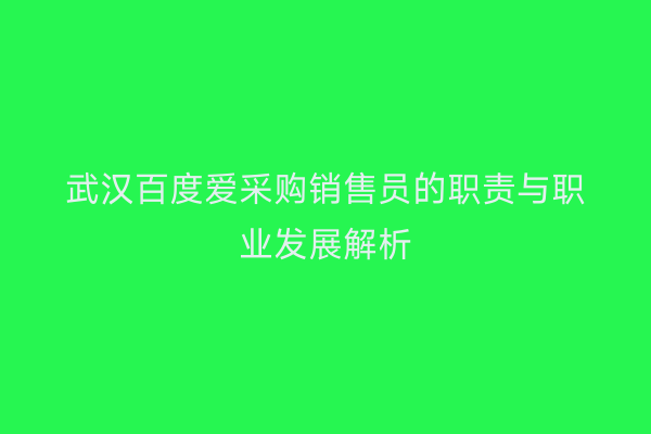 武汉百度爱采购销售员的职责与职业发展解析