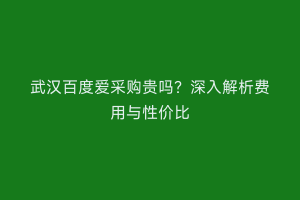 武汉百度爱采购贵吗？深入解析费用与性价比