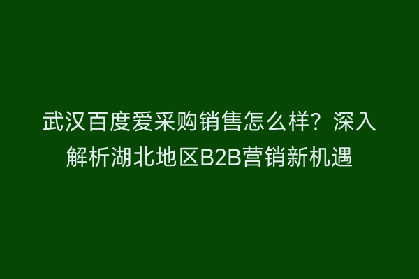 武汉百度爱采购销售怎么样？深入解析湖北地区B2B营销新机遇