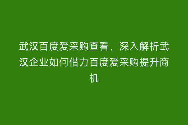 武汉百度爱采购查看，深入解析武汉企业如何借力百度爱采购提升商机