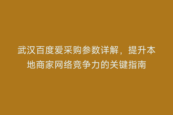 武汉百度爱采购参数详解，提升本地商家网络竞争力的关键指南