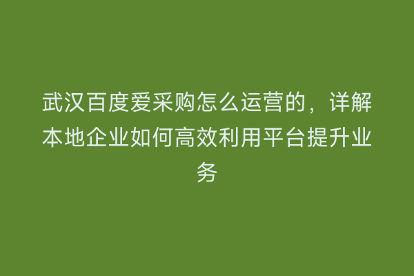 武汉百度爱采购怎么运营的，详解本地企业如何高效利用平台提升业务