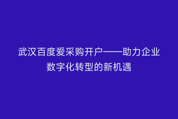 武汉百度爱采购开户——助力企业数字化转型的新机遇