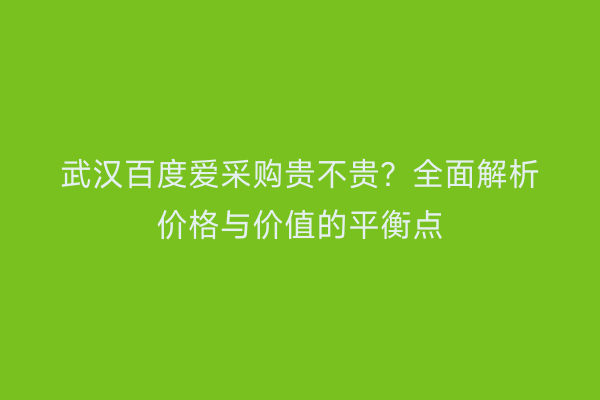 武汉百度爱采购贵不贵？全面解析价格与价值的平衡点