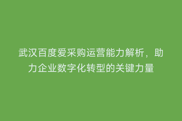 武汉百度爱采购运营能力解析，助力企业数字化转型的关键力量