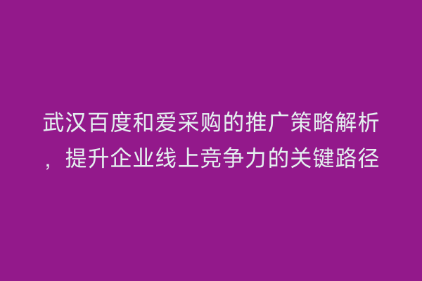 武汉百度和爱采购的推广策略解析，提升企业线上竞争力的关键路径