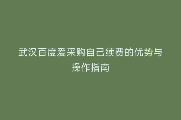 武汉百度爱采购自己续费的优势与操作指南
