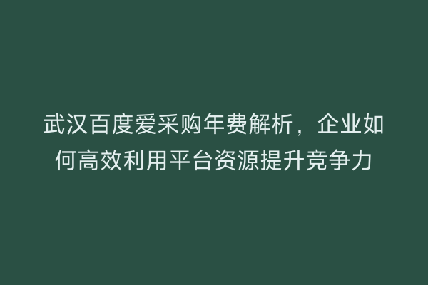 武汉百度爱采购年费解析，企业如何高效利用平台资源提升竞争力