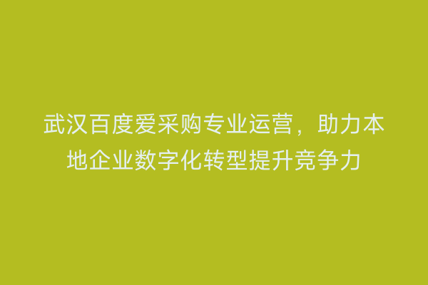 武汉百度爱采购专业运营，助力本地企业数字化转型提升竞争力